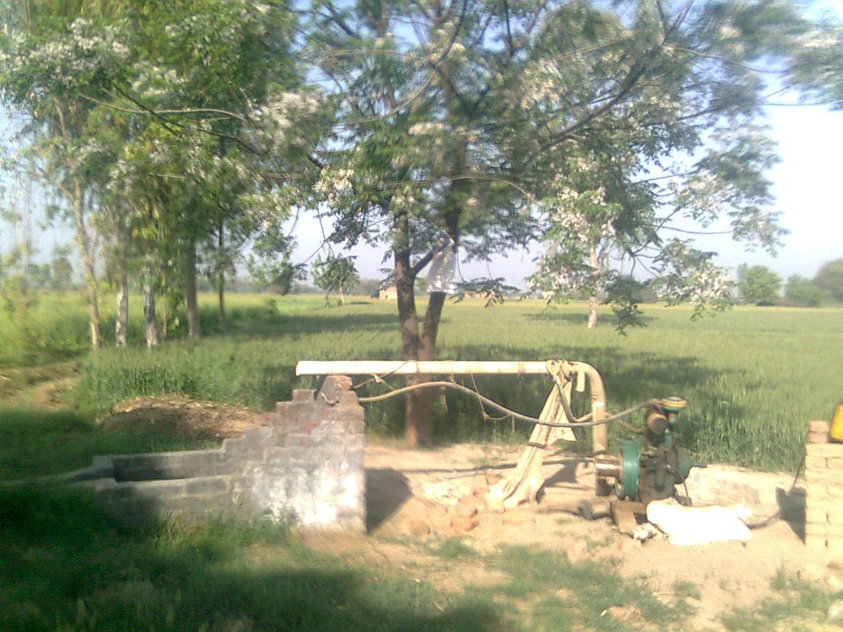 A pump engine and pipe at a brick tube well beside a green wheat field