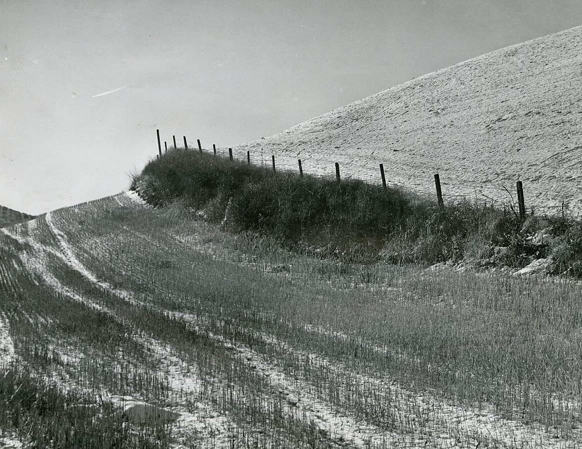 A snowy hillside field below a tall grassy bank along a fence line, where years of plowing have carried the soil downhill